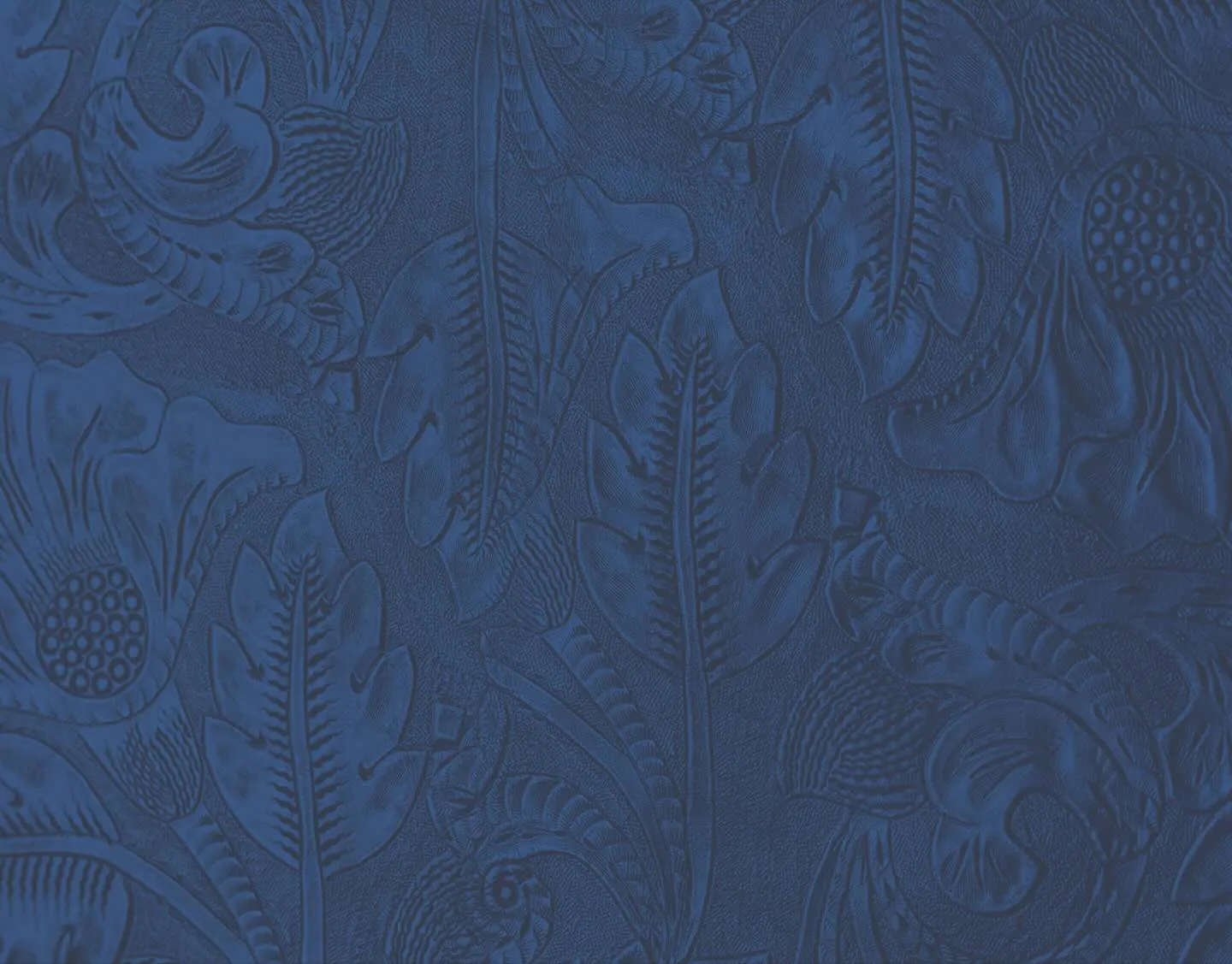 Horseshoe Background Image